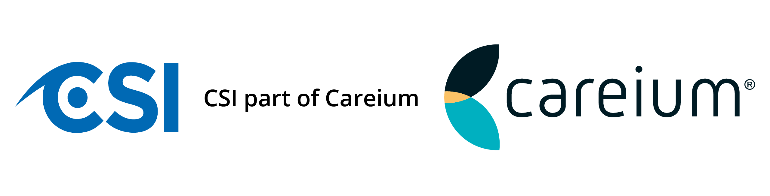 CSI Logo